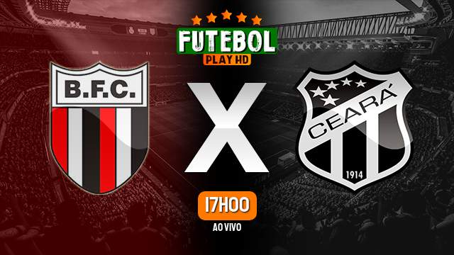 Assistir Botafogo-SP x Ceará ao vivo HD 04/11/2023 Grátis