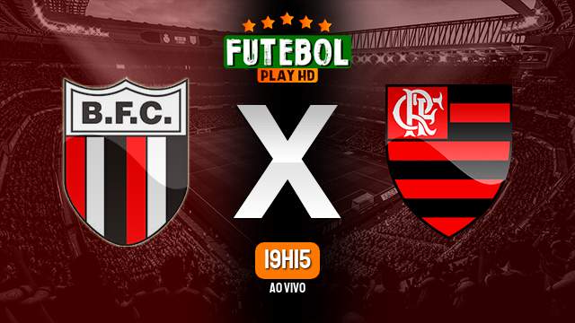 Assistir Botafogo-SP x Flamengo ao vivo 17/01/2024 HD online