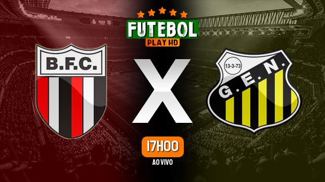 Assistir Botafogo-SP x Novorizontino ao vivo HD 21/10/2023 Grátis