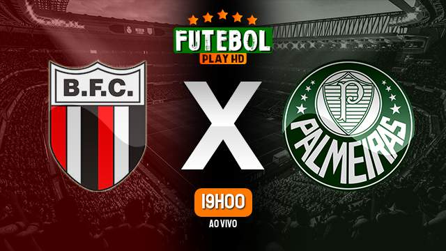 Assistir Botafogo-SP x Palmeiras ao vivo Grátis HD 23/05/2024