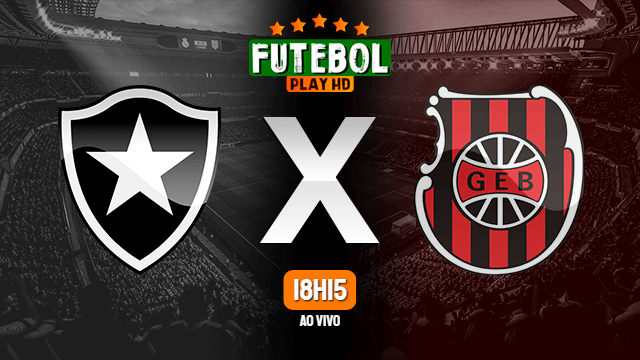 Assistir Botafogo x Brasil de Pelotas ao vivo HD 15/08/2021 Grátis