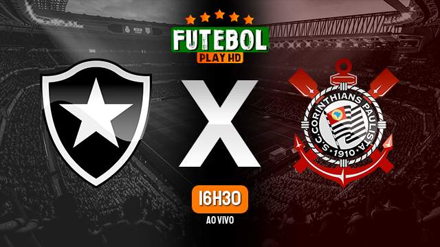 Assistir Botafogo x Corinthians ao vivo 06/05/2024 HD