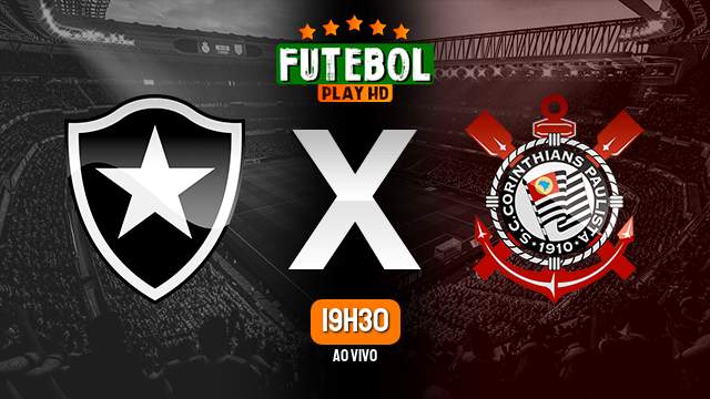 Assistir Botafogo x Corinthians ao vivo 11/05/2023 HD online