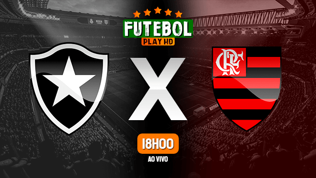 Assistir Botafogo x Flamengo ao vivo Grátis HD 28/08/2022