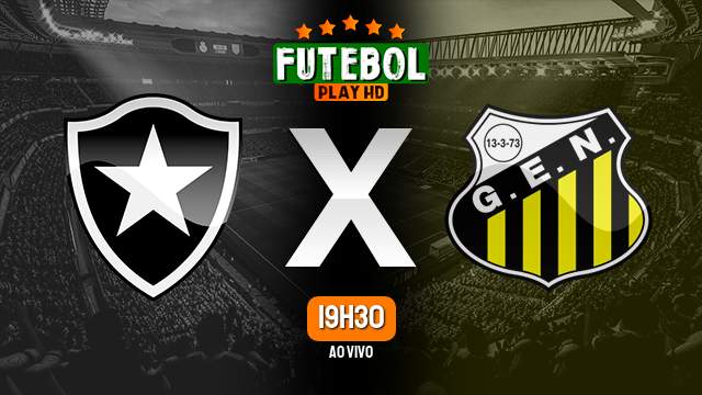 Assistir Botafogo x Novorizontino ao vivo 12/01/2024 HD