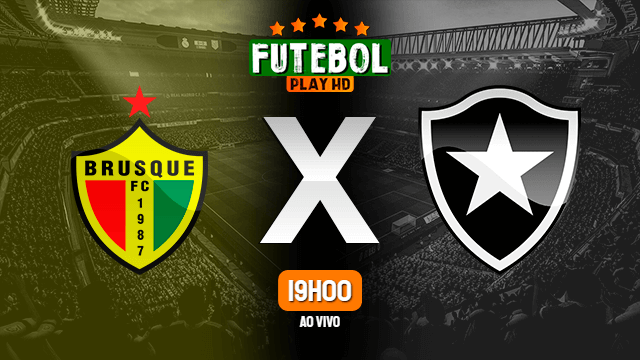 Assistir Brusque x Botafogo ao vivo HD 17/07/2021 Grátis