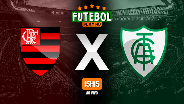 Assistir Flamengo x América-MG ao vivo 13/06/2021 HD