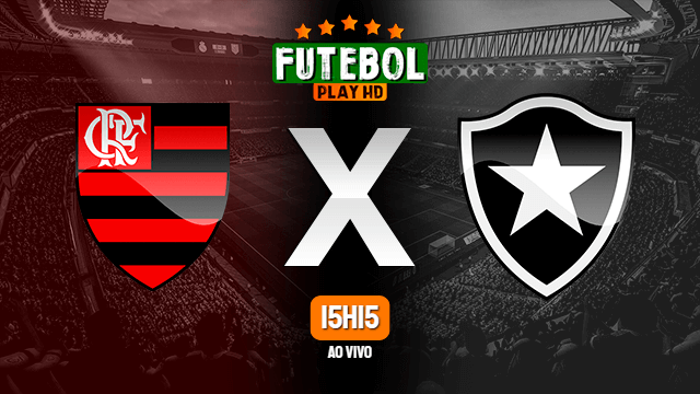 Assistir Flamengo x Botafogo ao vivo 09/08/2022 HD online