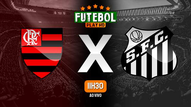 Assistir Flamengo x Santos ao vivo 12/08/2023 HD