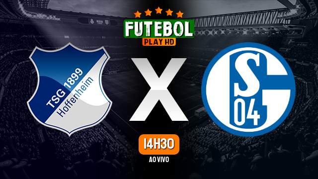 Assistir Hoffenheim x Schalke 04 ao vivo 09/04/2023 HD online
