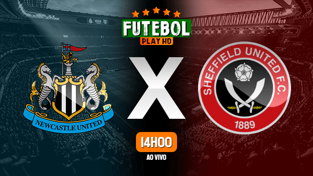 Assistir Newcastle x Sheffield United ao vivo Grátis HD 19/05/2021
