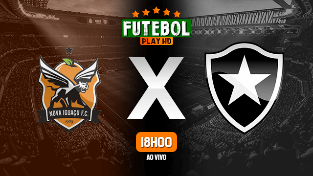 Assistir Nova Iguaçu x Botafogo ao vivo HD 28/03/2021 Grátis