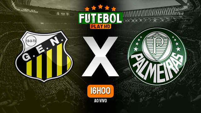 Assistir Novorizontino x Palmeiras ao vivo online 21/01/2024 HD