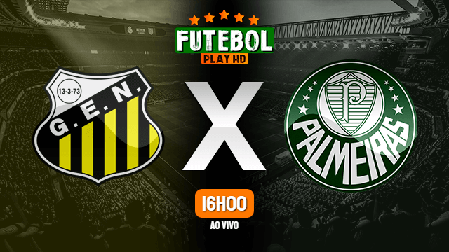 Assistir Novorizontino x Palmeiras ao vivo HD 23/01/2022 Grátis