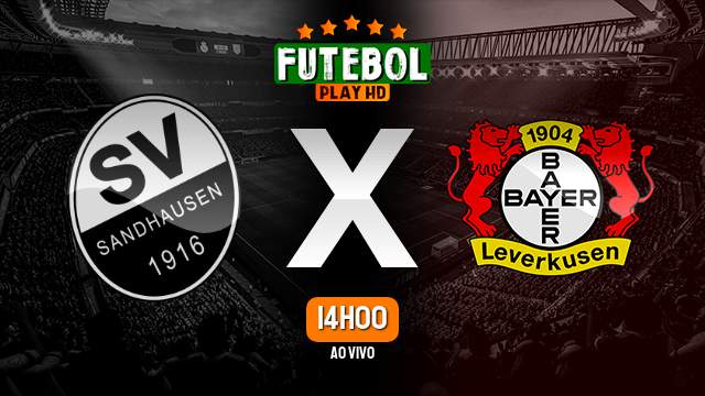 Assistir Sandhausen x Bayer Leverkusen ao vivo 01/11/2023 HD online