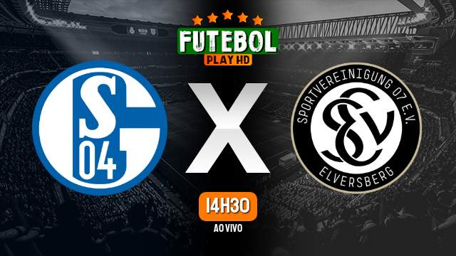 Assistir Schalke 04 x Elversberg ao vivo HD 10/11/2023 Grátis