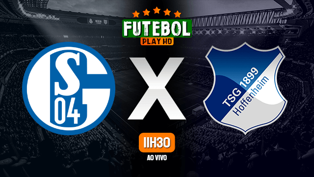Assistir Schalke 04 x Hoffenheim ao vivo online 09/01/2021 HD